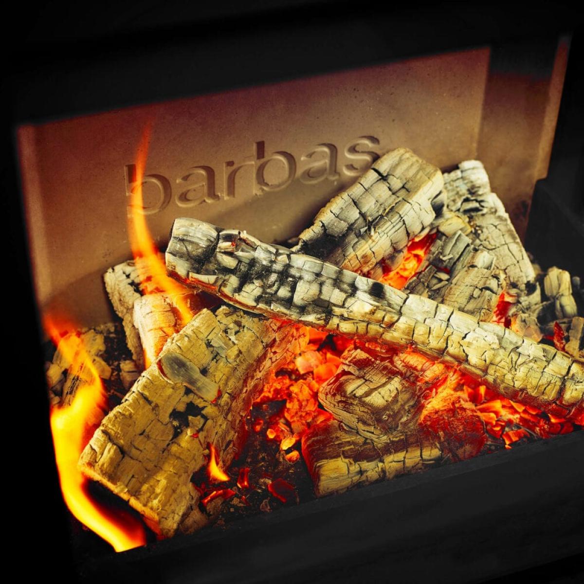 BARBAS-BOIS